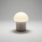 Mushroom Table Lamp | Warm LED & Weighted Non-Slip Base | Compact
