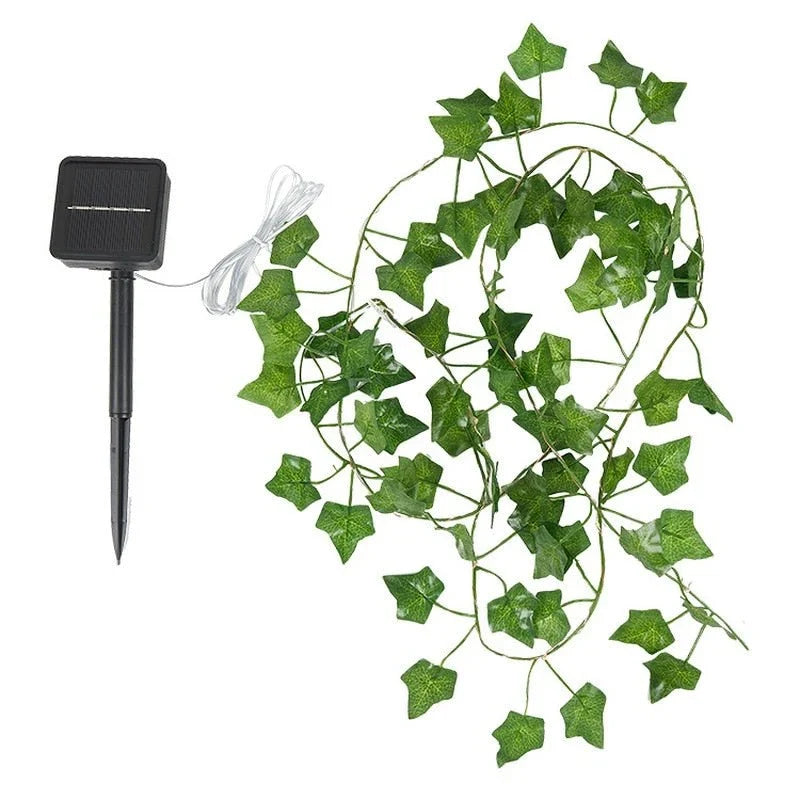 Outdoor String Lights | Solar-Powered & IP65 Waterproof | 2/5/10 m