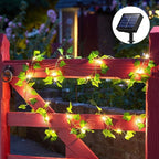 Outdoor String Lights | Solar-Powered & IP65 Waterproof | 2/5/10 m