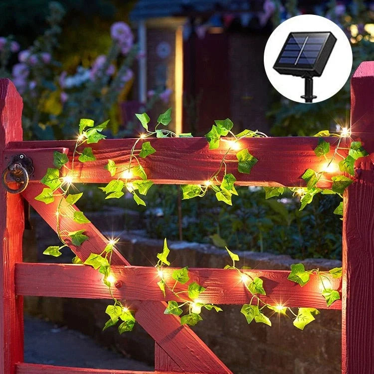 Outdoor String Lights | Solar-Powered & IP65 Waterproof | 2/5/10 m