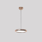 Pendant Light | Minimalist Metal & Acrylic
