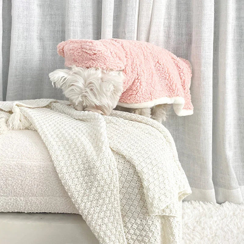 Pet Bathrobe Blanket | Extra-Soft Coral Fleece & Non-Slip Bottom