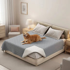 Pet Blanket | Waterproof & Tear-Resistant Polyester | Multiple Sizes