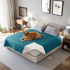 Pet Blanket | Waterproof & Tear-Resistant Polyester | Multiple Sizes