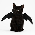 Pet Costume | Lightweight & Comfortable | Sizes S–L