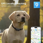 Pet GPS Collar | 4G GPS & Geofence No Monthly Fees