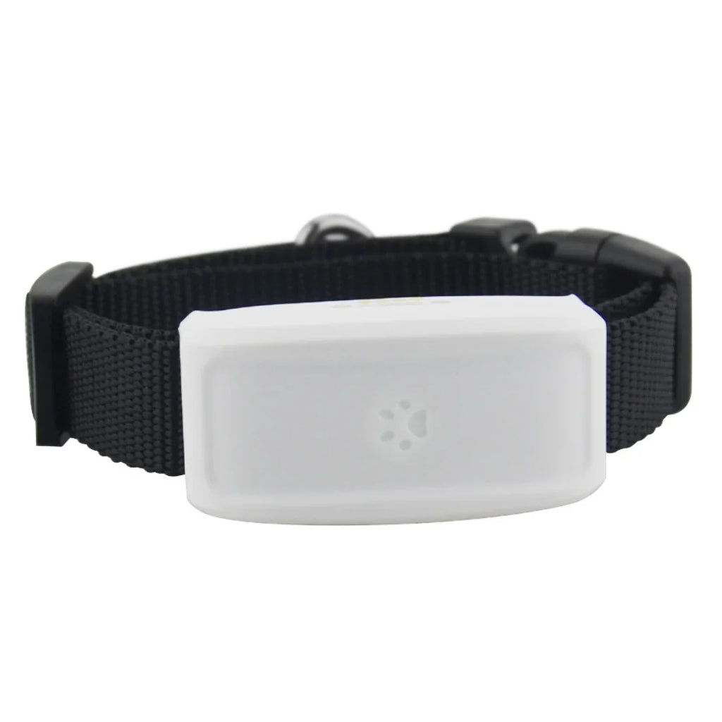 Pet GPS Collar | Real-Time GPS & Geo-Fence | Up To 200-Hour Battery