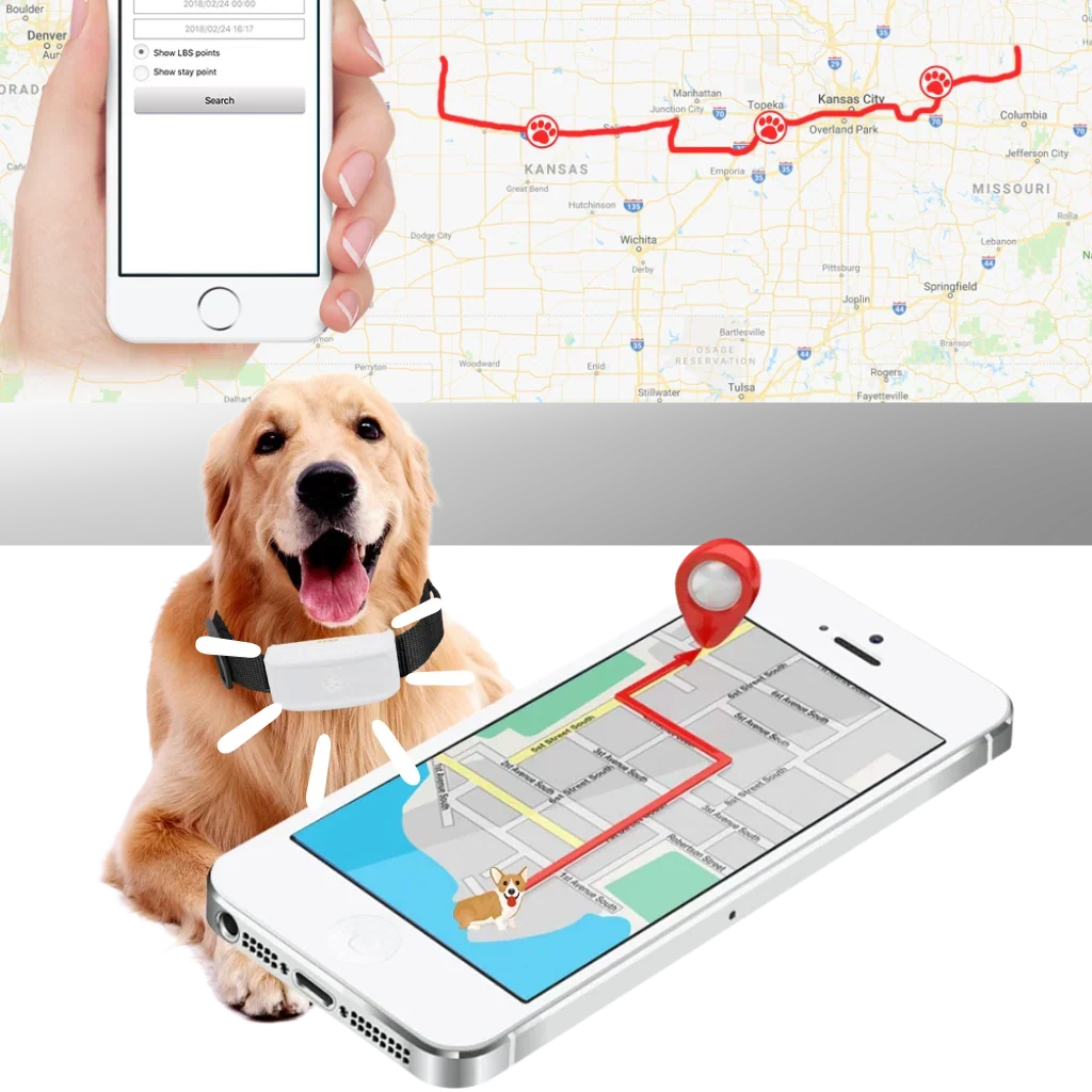Pet GPS Collar | Real-Time GPS & Geo-Fence | Up To 200-Hour Battery