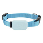 Pet GPS Tracker | Real-Time GPS & 12-Month Battery