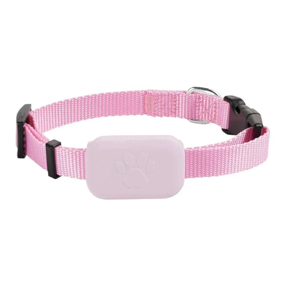 Pet GPS Tracker | Real-Time GPS & 12-Month Battery