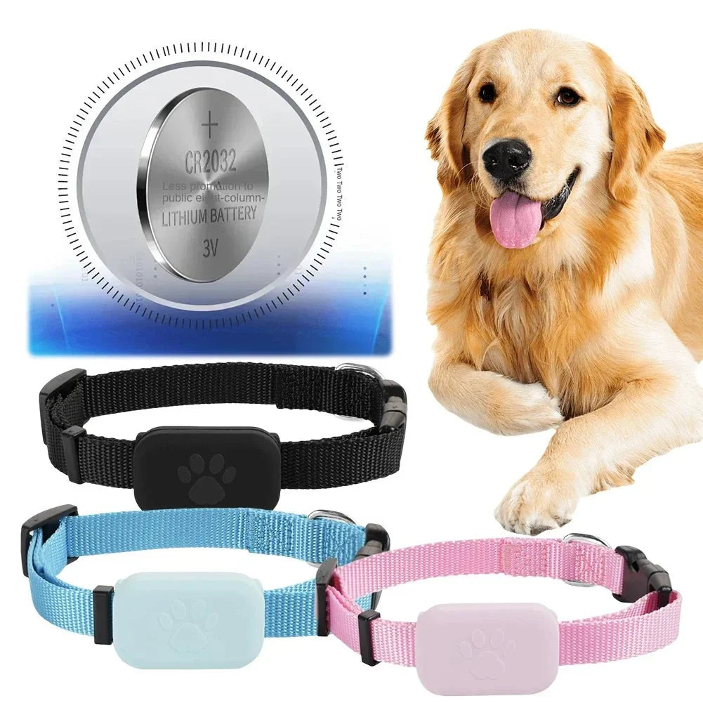 Pet GPS Tracker | Real-Time GPS & 12-Month Battery