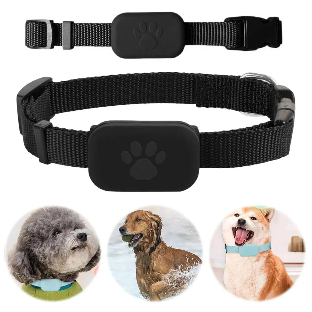 Pet GPS Tracker | Real-Time GPS & 12-Month Battery