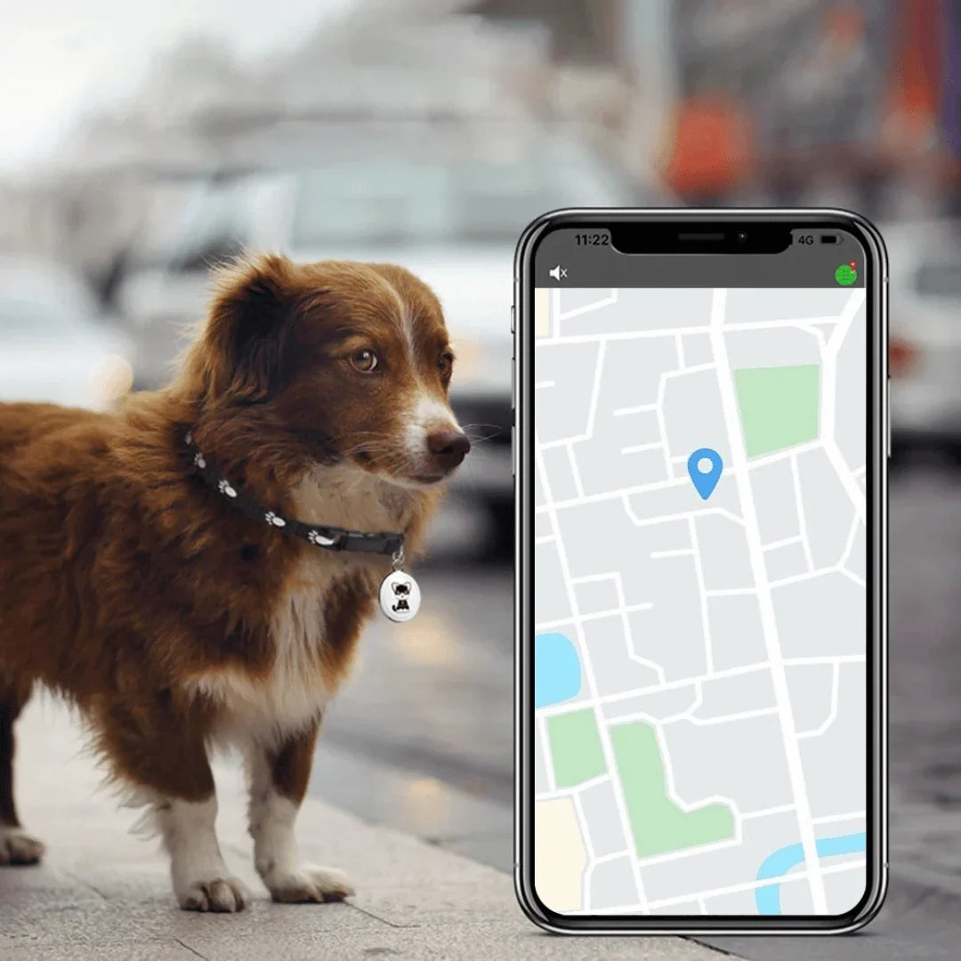 Pet GPS Tracker | Real-Time Worldwide Tracking & Acoustic Alert | CR2032 Included
