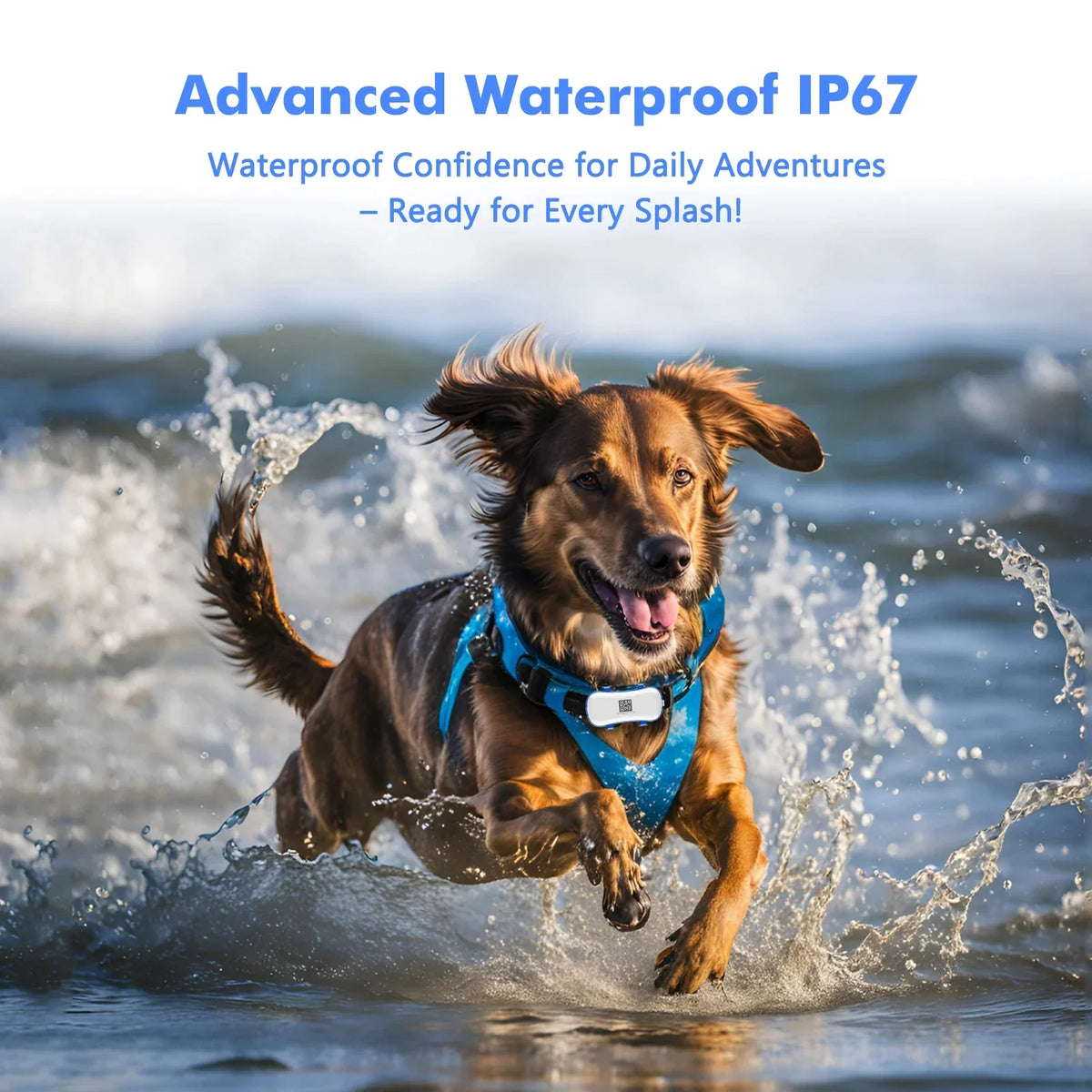 Pet Tracker | Real-Time GPS & Geofence | IP67 Waterproof