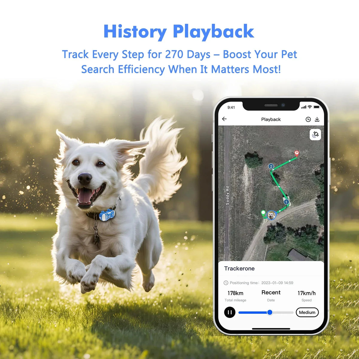 Pet Tracker | Real-Time GPS & Geofence | IP67 Waterproof