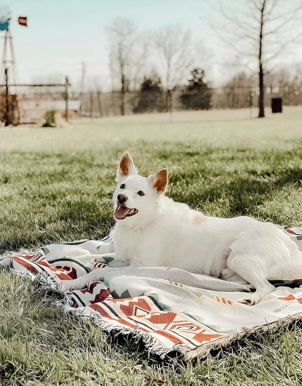 Picnic Blanket | Reversible Boho Jacquard Cotton Blend, Machine Washable