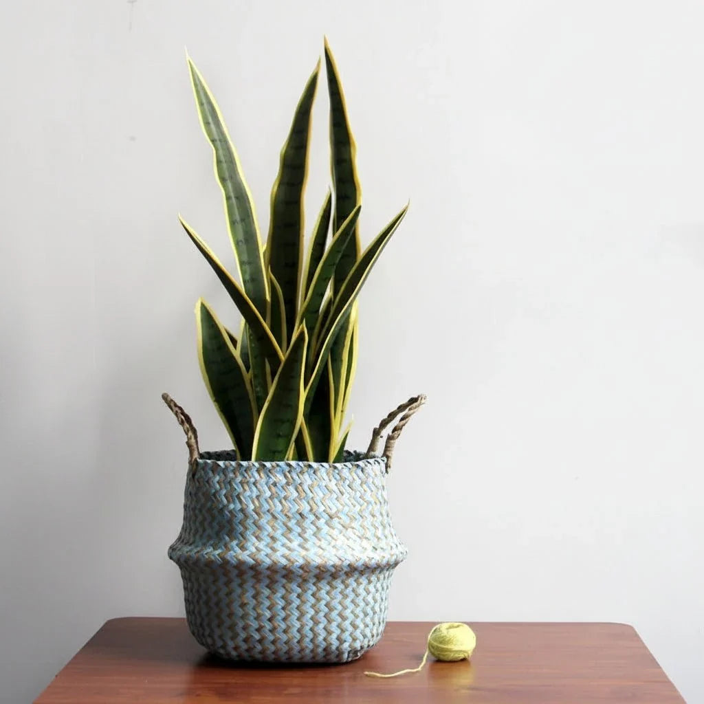 Plant Basket | Handwoven Willow & Reed | Foldable