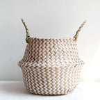 Plant Basket | Handwoven Willow & Reed | Foldable