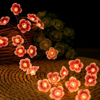 String Lights | Cherry Blossom LED Warm & Multicolor | USB & Battery-Powered