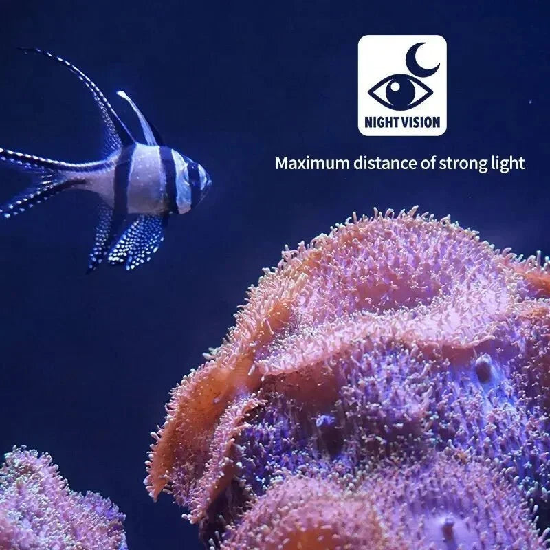 Underwater Fishing Camera | HD Night Vision & IP68 Waterproof | 15/30 m Cable