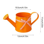 Watering Can | Coated Steel & Gentle Sprinkler Head