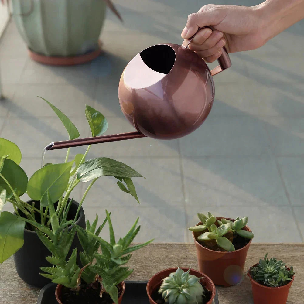 Watering Can | Minimalist Design & Ergonomic Handle
