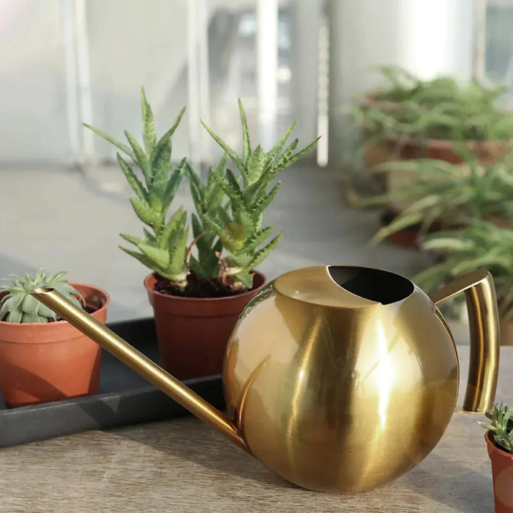 Watering Can | Minimalist Design & Ergonomic Handle