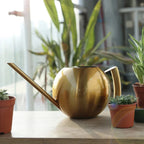 Watering Can | Minimalist Design & Ergonomic Handle
