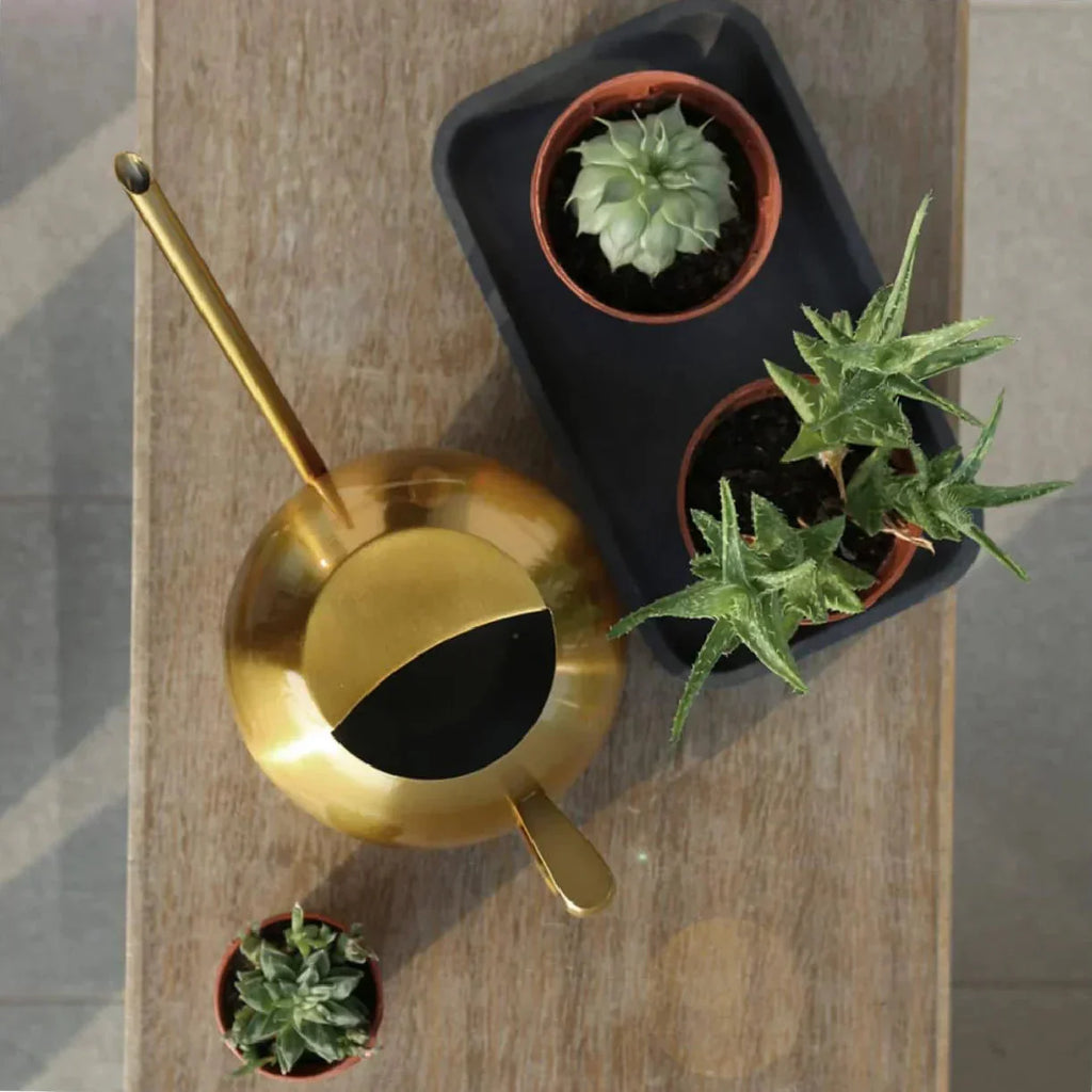 Watering Can | Minimalist Design & Ergonomic Handle