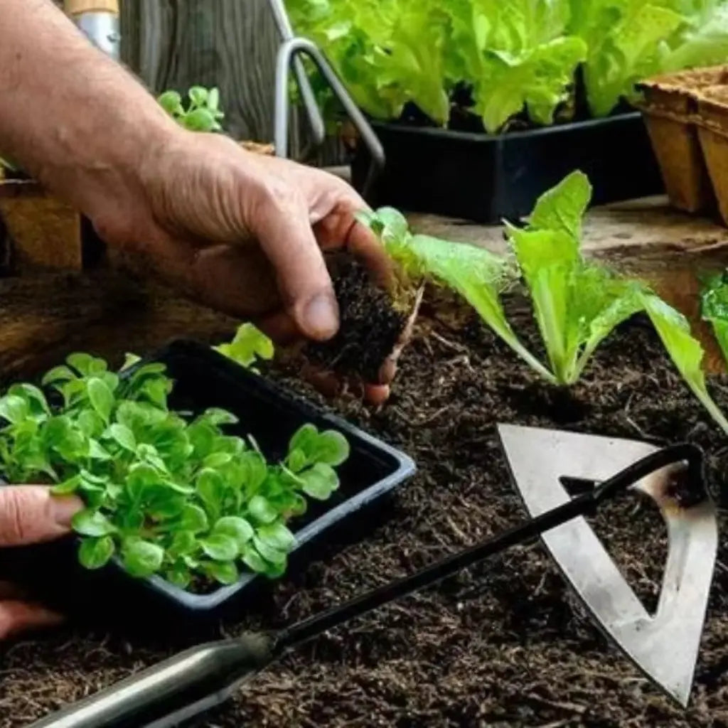 Weed Puller | Hollow Blade & Forged Manganese Steel | Fits Standard Handles